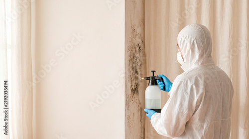 Professional Mold Remediation Specialist in Protective Suit Spraying Antifungal Treatment on Mold-Covered Wall