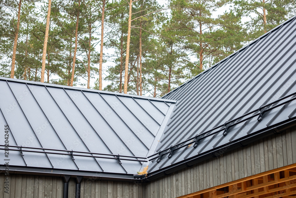 Obraz premium Modern metal standing seam roof of house near pine trees includes snow guards and gutters on wooden residential architecture.