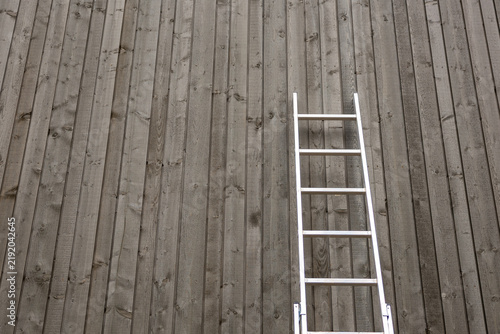 Fotografie Metal ladder resting against weathered vertical wooden planks outdoors, illustrating concepts of repair, renovation, and progress