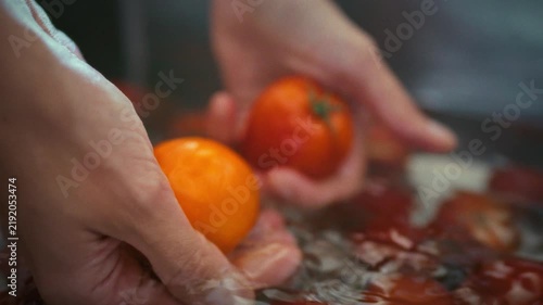 Water flows from the tap over fresh organic tomatoes as a woman's hands wash them in a metal kitchen sink. Theme of home canning preparation and traditional pickling routine