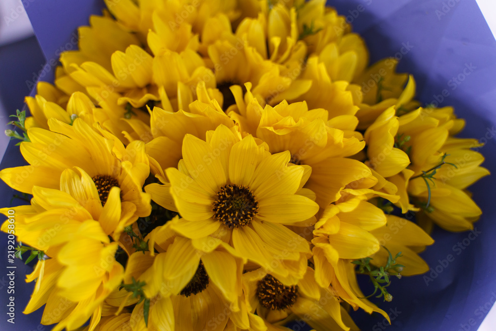 Fototapeta premium Bouquet of Bright Yellow Sunflowers