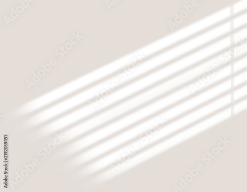 shadow overlay effects of realistic abstract windows shadow on transparent background,Summer sunlight and shadow overlay effect,shadow for photo 
