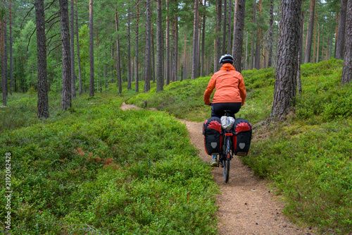 Quadro su tela A cyclist with panniers rides along a winding forest trail surrounded by lush greenery on a summer day