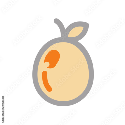 Obraz na płótnie Stylized Orange Fruit Icon
