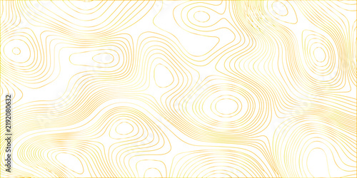 Abstract soft yellow and white swirling lines forming a gentle, organic pattern that evokes a sense of calm and fluidity. Abstract soft yellow topographic map design for modern outdoor web design