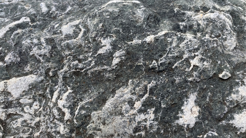Картината върху платно Close‑up of dark fossil limestone featuring white calcite veins, shell fragments, and intricate geological patterns, creating an abstract natural stone texture with rich mineral detail