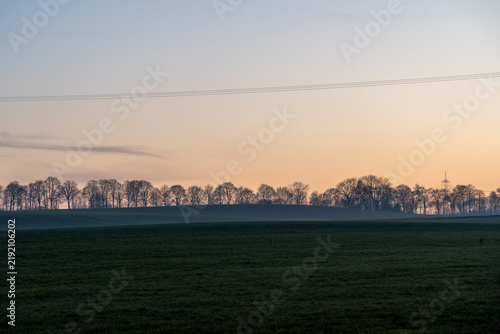 Electricity lines across a rural field at dusk