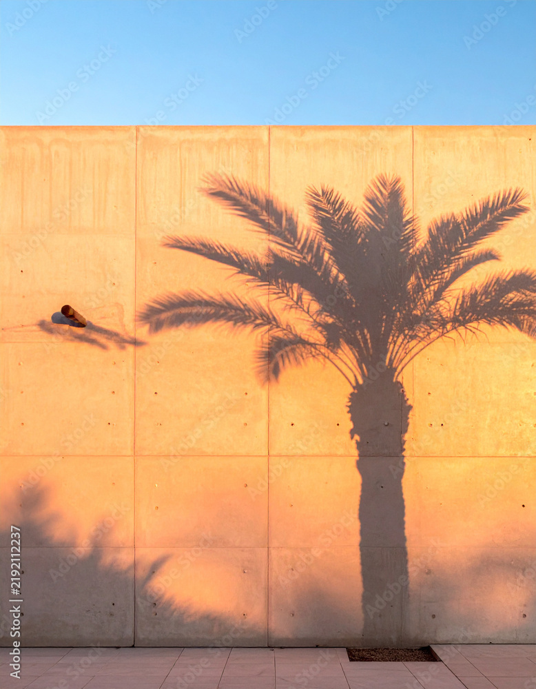 Obraz premium A serene, goldenhour shadow of a palm tree cast onto a textured concrete wall, evoking warmth, tropical calm, and minimalism. Nobody, no people. Perfect for travel or lifestyle marketing.