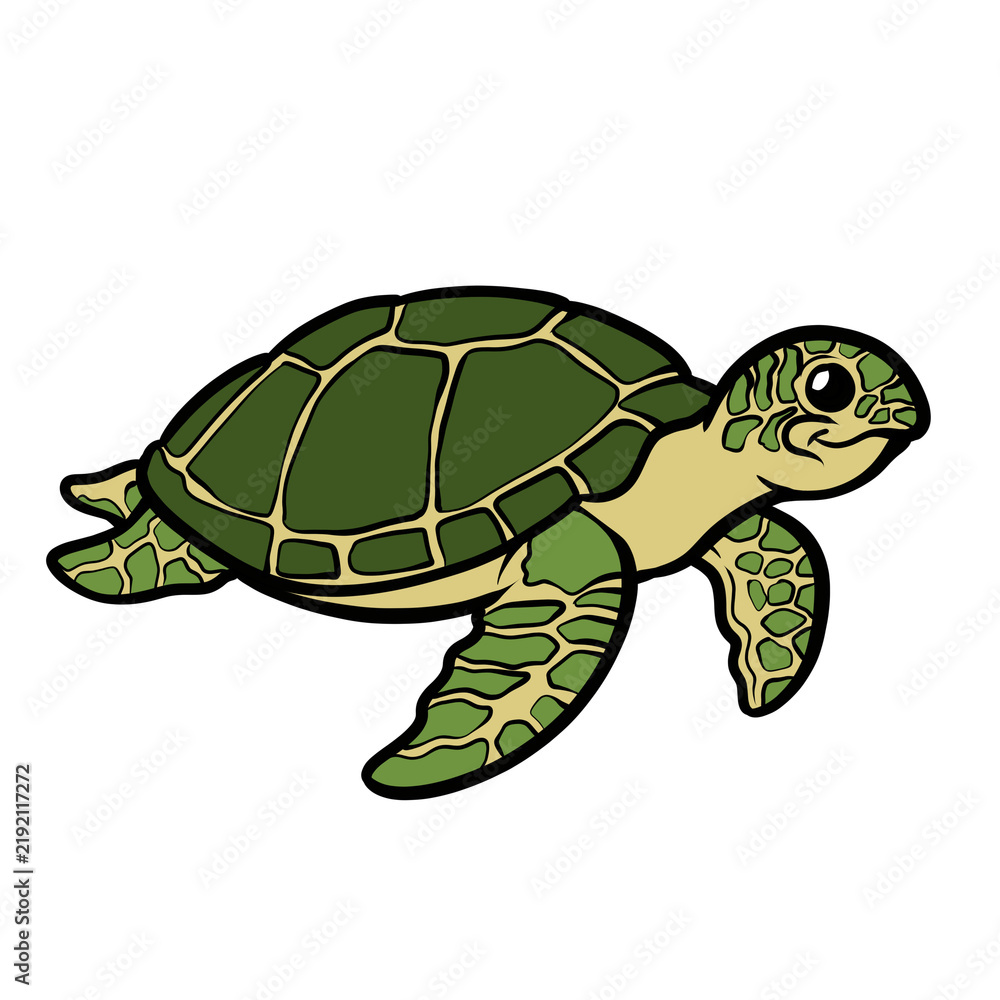 Fototapeta premium Cute cartoon green sea turtle marine life reptile ocean animal illustration isolated on transparent background