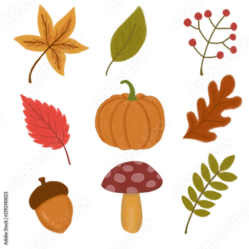 Autumn Leaves and Pumpkin Element Set Isolated Vector