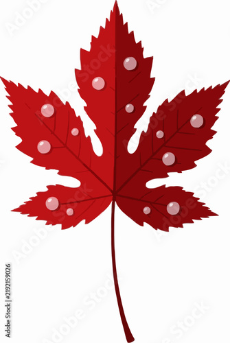 Five-lobed scarlet red autumn foliage leaf adorned with round transparent dew drops and serrated leaf margins, designed as an isolated seasonal botanical vector on a white background
