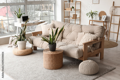 Interior of light living room with sofa and Sansevieria plants