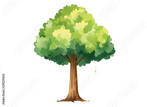 Cute watercolor tall tree with green leaves, isolated illustration for your adorable design kids room, poster, mural, cover, background or wallpaper. Perfect print for cartoon design, nature symbol