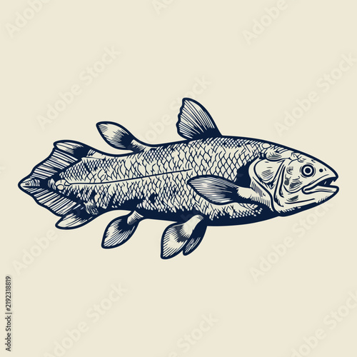 Coelacanth-Fish-Vector