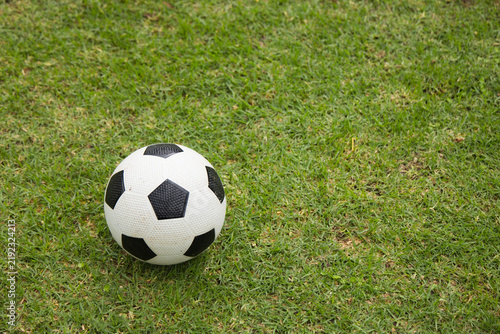 Black-and-white soccer ball is resting on short green grass under soft directional sunlight