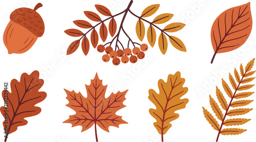 Bright and simple autumn leaves in warm colors. Flat cartoon foliage for seasonal design.