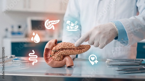 Doctor pointing at a model of the human pancreas in a professional medical clinic setting