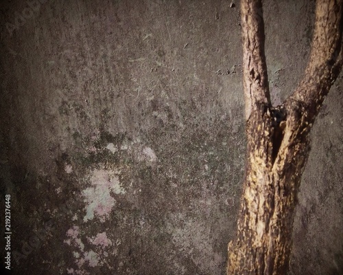 Obraz na plátne Textured weathered concrete wall background with muted earthy tones, featuring natural aged patina, subtle faded pale pink and mint streaks, and rough uneven surface
