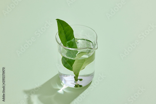 Green tea leaves immersed in a clear glass of water as water flows into the glass, creating a fresh tea infusion concept with clean copy space.