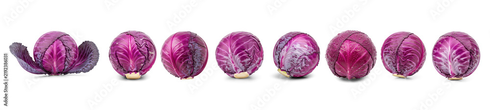 Fototapeta premium Collection of purple cabbage heads are arranged on a transparent background. The cabbage heads display a gradient of color
