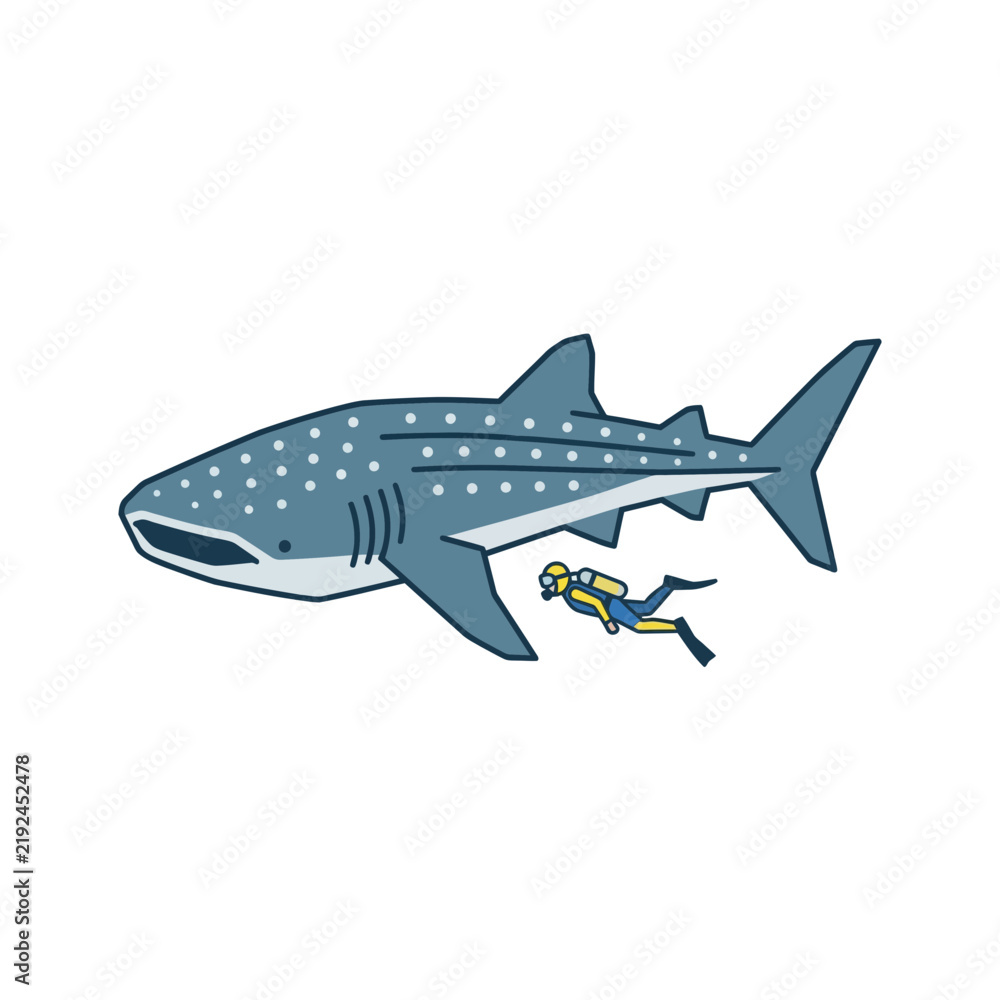 Obraz premium Whale Shark and Diver Underwater Illustration