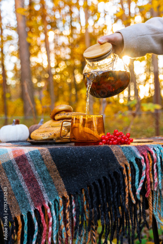 Transparent teapot pouring hot autumn tea into glass cup with fresh orange slices during outdoor picnic. Traditional bagels and red viburnum berries rest beside drink on rustic table, while golden