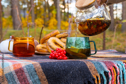Transparent teapot pouring hot autumn tea into glass cup with fresh orange slices during outdoor picnic. Traditional bagels and red viburnum berries rest beside drink on rustic table, while golden