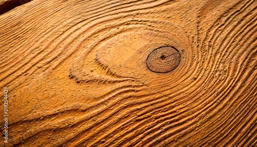 Closeup Textured Wooden Surface with Natural Grain