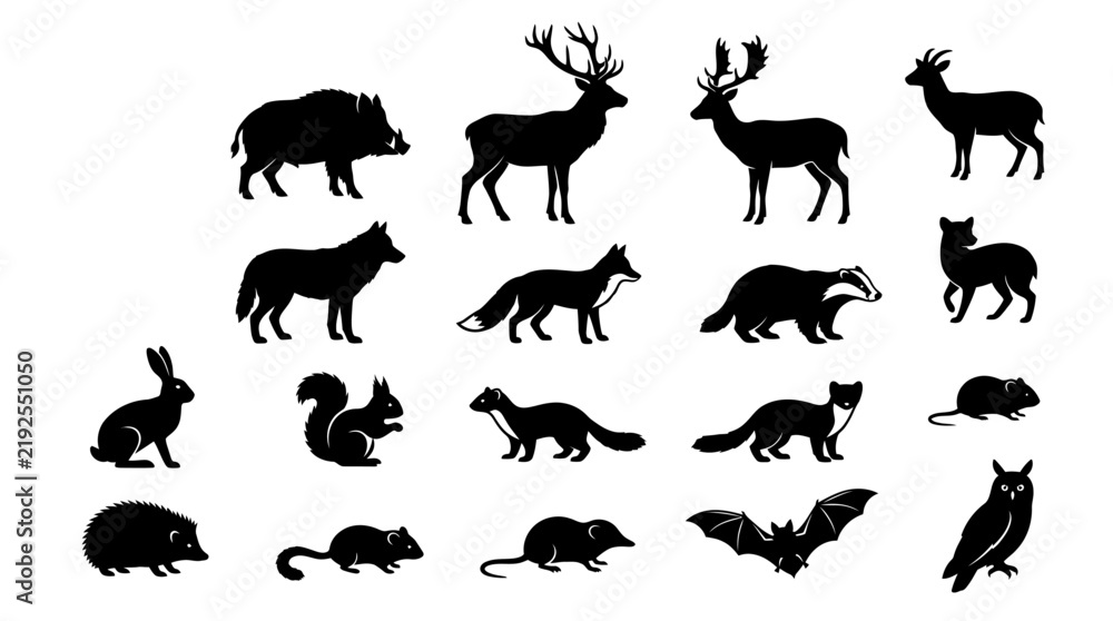 Obraz premium Set of Eighteen Minimalist Black Silhouettes of Forest Animals including Deer, Wolf, Fox, Wild Boar, Badger, Owl, Rabbit, and Squirrel Isolated on a White Background for Design