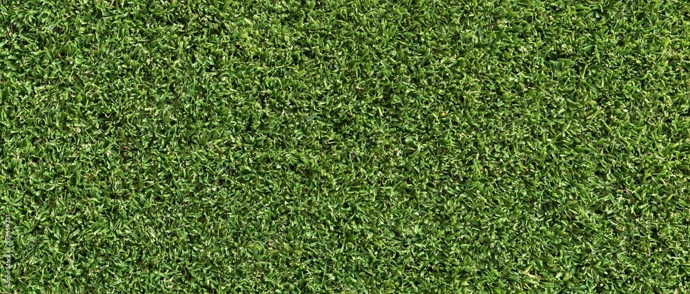 Fototapeta premium Close up view of dense green grass texture