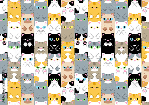 ねこぎっしり A4 ミックス