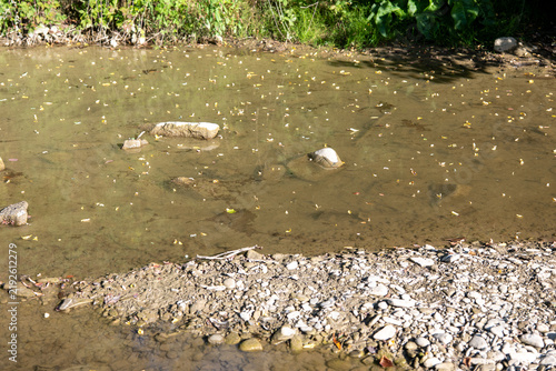 Obraz na plátně Shallow Topľa River in Slovakia with exposed gravel bar, smooth river stones and scattered fallen leaves, showing a natural freshwater riverbed and riparian environment