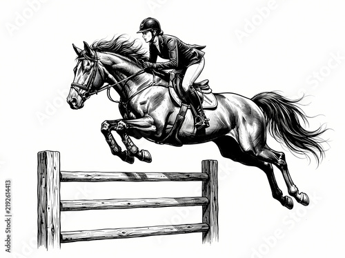 A detailed black and white illustration of a horse and rider jumping over a wooden fence.