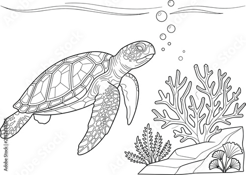 Sea Turtle Swimming Underwater Near Coral Reef and Marine Plants Line Art Illustration
