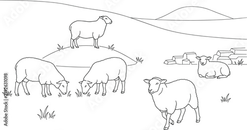 Sheep Grazing in Mountain Pasture With Hills and Grass Landscape Line Art Illustration