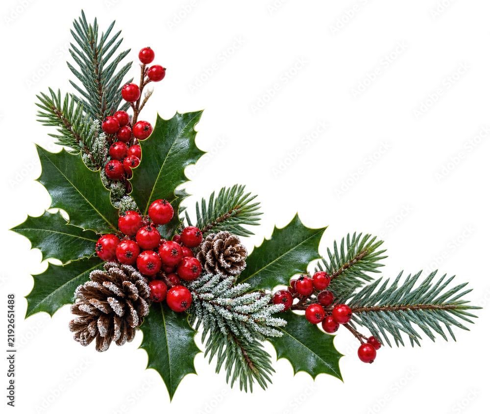 Obraz premium Christmas decoration corner with holly leaves, pine needles, red berries, and pine cones, isolated on transparent background. Winter greenery, holiday ornament, festive decor.