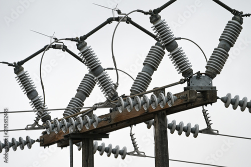 Power Line Fuse Cutouts and Lightning Arresters Crossing in X-Pattern on Utility Pole