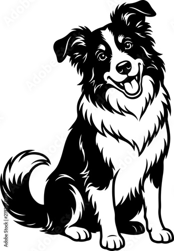 Happy border collie dog sitting and smiling black and white vector illustration