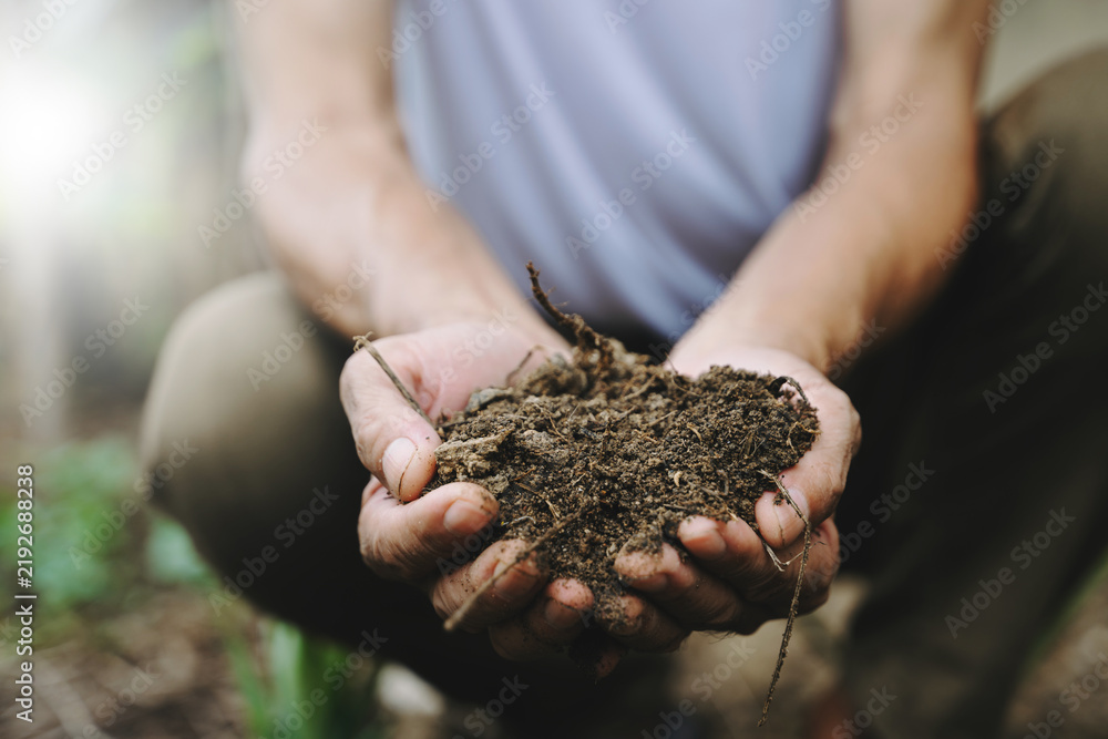 Obraz premium Close-up of a farmer carefully holding rich, organic soil in their hands. A beautiful symbol of sustainable agriculture, environmental conservation