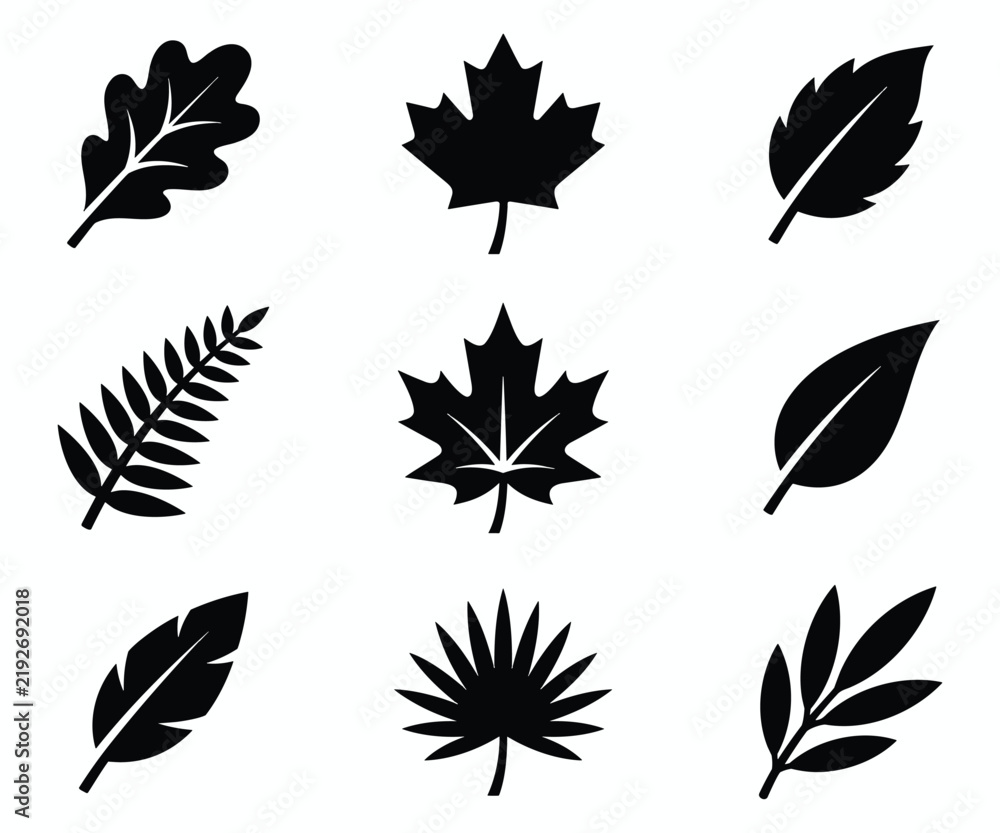 Fototapeta premium Collection of black leaf Silhouettes Vector Set