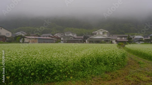 Walking by green fields by houses in rural village with mountain fog in Nagano, Japan