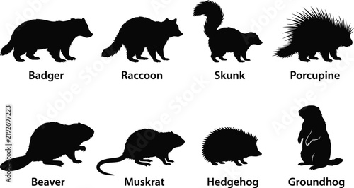 Collection of wild woodland animal flat black silhouettes including badger raccoon beaver and hedgehog for nature design