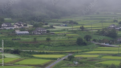 Aerial view of green rice fields, rural houses, and low clouds in Nagano countryside, Japan
