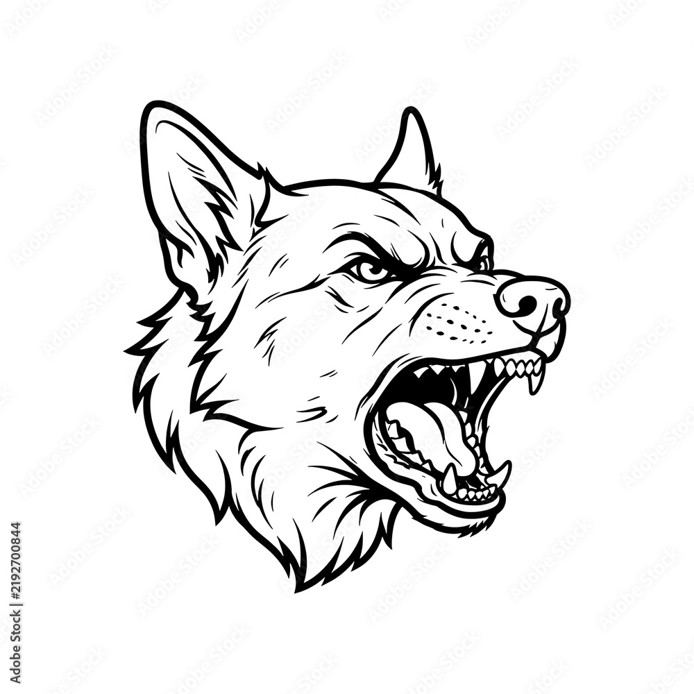 Obraz premium Angry wolf head mascot logo illustration with aggressive snarl and sharp teeth