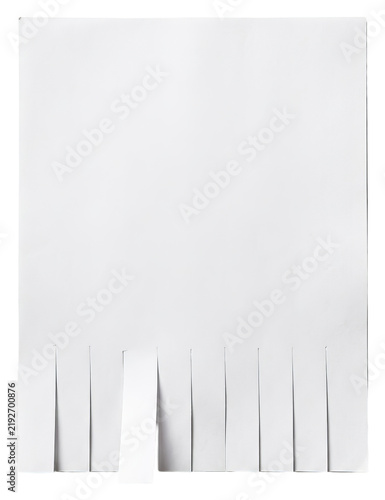 Blank Tear-Off Advertisement Flyer with Detachable Strips.