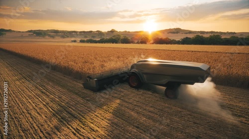 Autonomous Agricultural Harvester Working in Wheat Field at Sunset