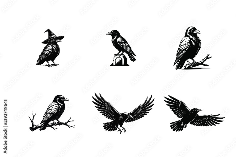 Obraz premium Raven and Crow Vector Illustrations Set with Witch Hat, Gravestone, Perching and Flying Poses. Black and White Halloween Themed Graphic Elements.