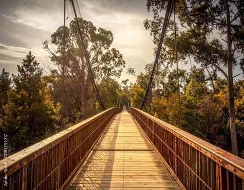 Rustic wooden bridge crossing a peaceful natural landscape, symbolizing adventure, connection, travel, and traditional craftsmanship.