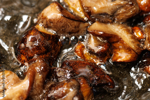 Фотография Glistening mushrooms simmer in rich, savory broth