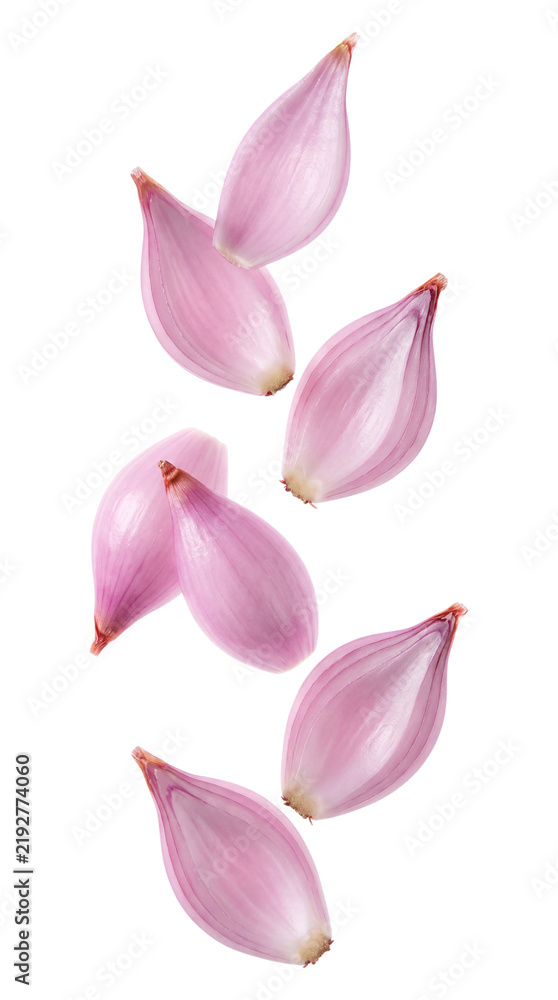 Obraz premium Falling shallots isolated on transparent background